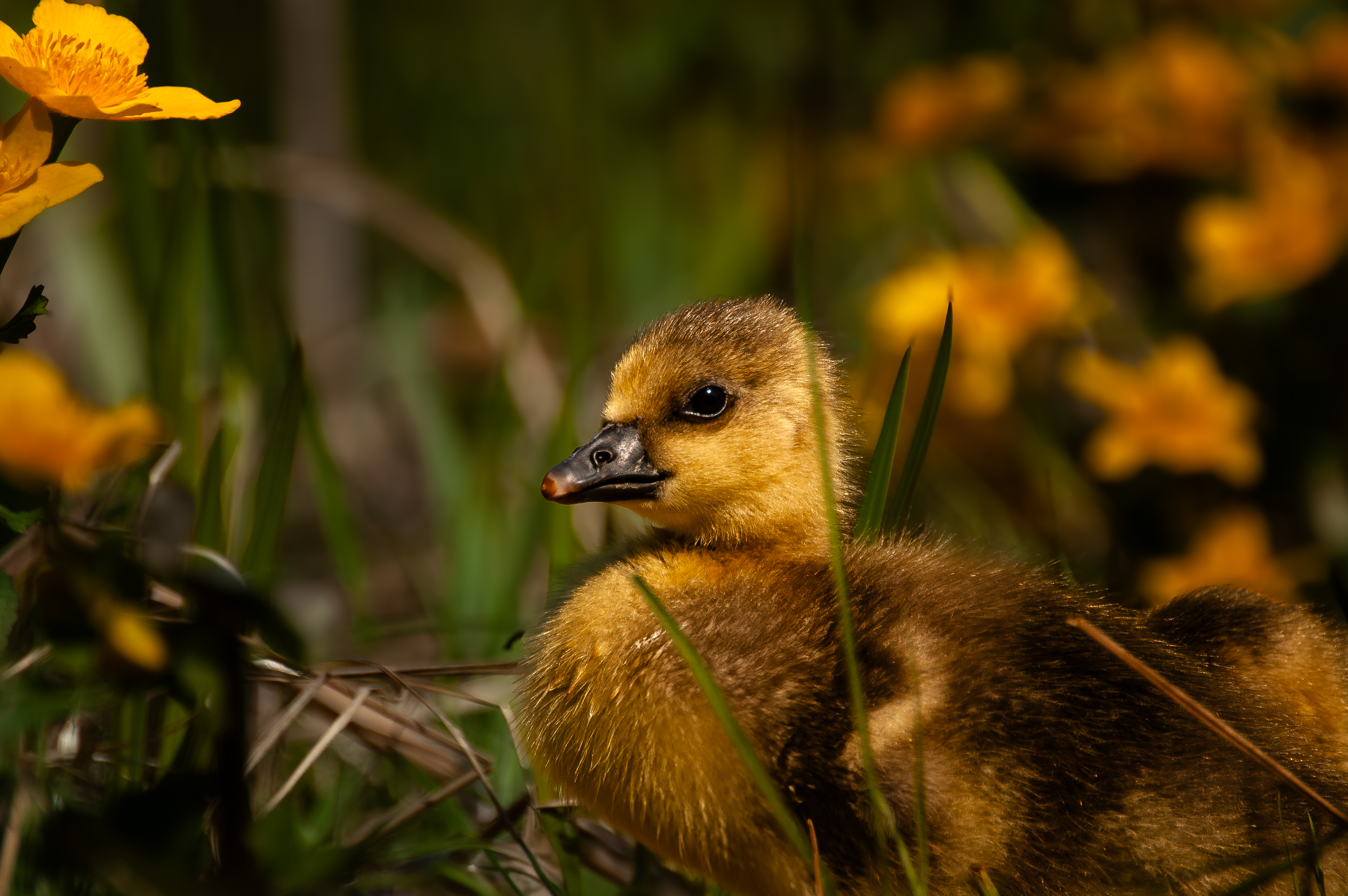 Fotos im Park - 01852